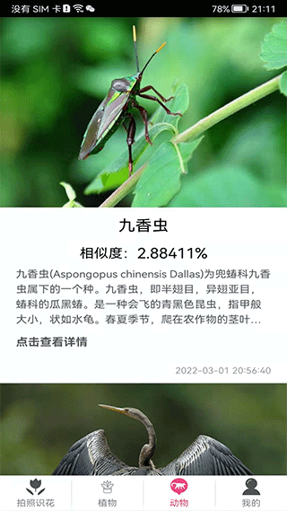 截图5